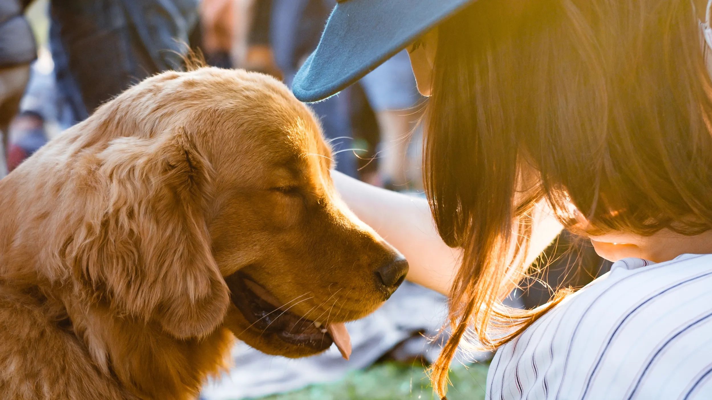 Locksmith Family and Dog